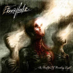 EBONYLAKE ''In Swathes of Brooding light''