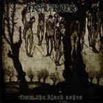 NEBRUS ''From the Black Ashes''