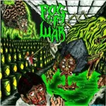 FOG OF WAR ''Fog Of War''