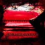 BENIGHTED IN SODOM ''Hybrid Parasite Evangelistica''
