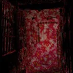 ELIMI ''Asylum''