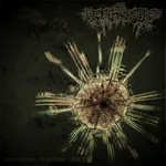BROOD OF HATRED ''New Order Of Intelligence''