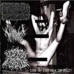 GRIND THE REALITY ''Split''
