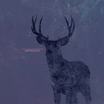 COLD BODY RADIATION ''Deer Twillight''