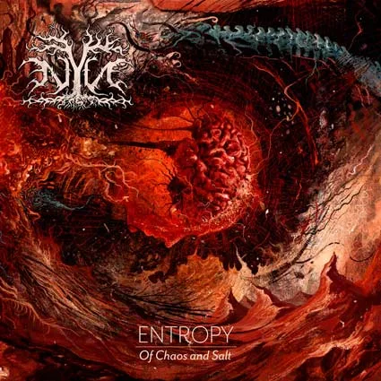 NYN - ''Entropy : Of Chaos and Salt ''