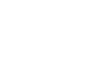 ANALEPSY