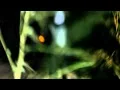 Vildhjarta - Benblast