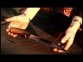 Heidevolk - Nehalennia