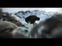 Winds o Plague - the Impaler