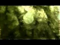 Xerión - Nocturnal Misantropia