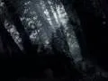 Negura Bunget - Vazduh