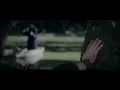 Wisdom - Live Forevermore