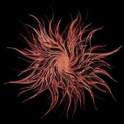 GALAKTIK CANCER SQUAD ''Ghost Light''