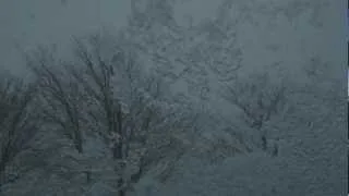 Frostwork - Frozen Veins Shed No Blood