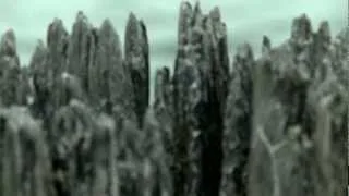 Sorrow Seed - Ocean Scorn