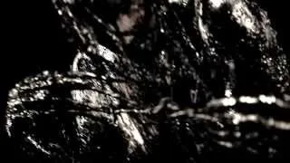 Diabolical - Metamorphosis