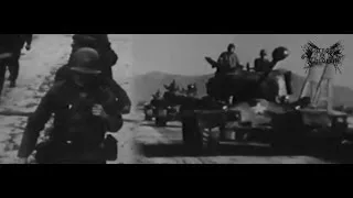 Carnage of Children - Napalm