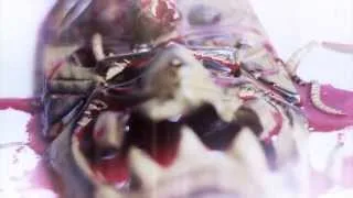 Perversity - Goddess Of Maggots
