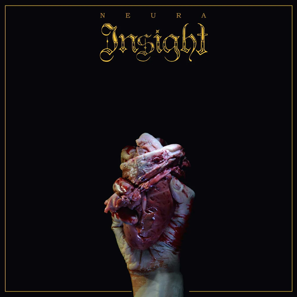 Insight - Neura