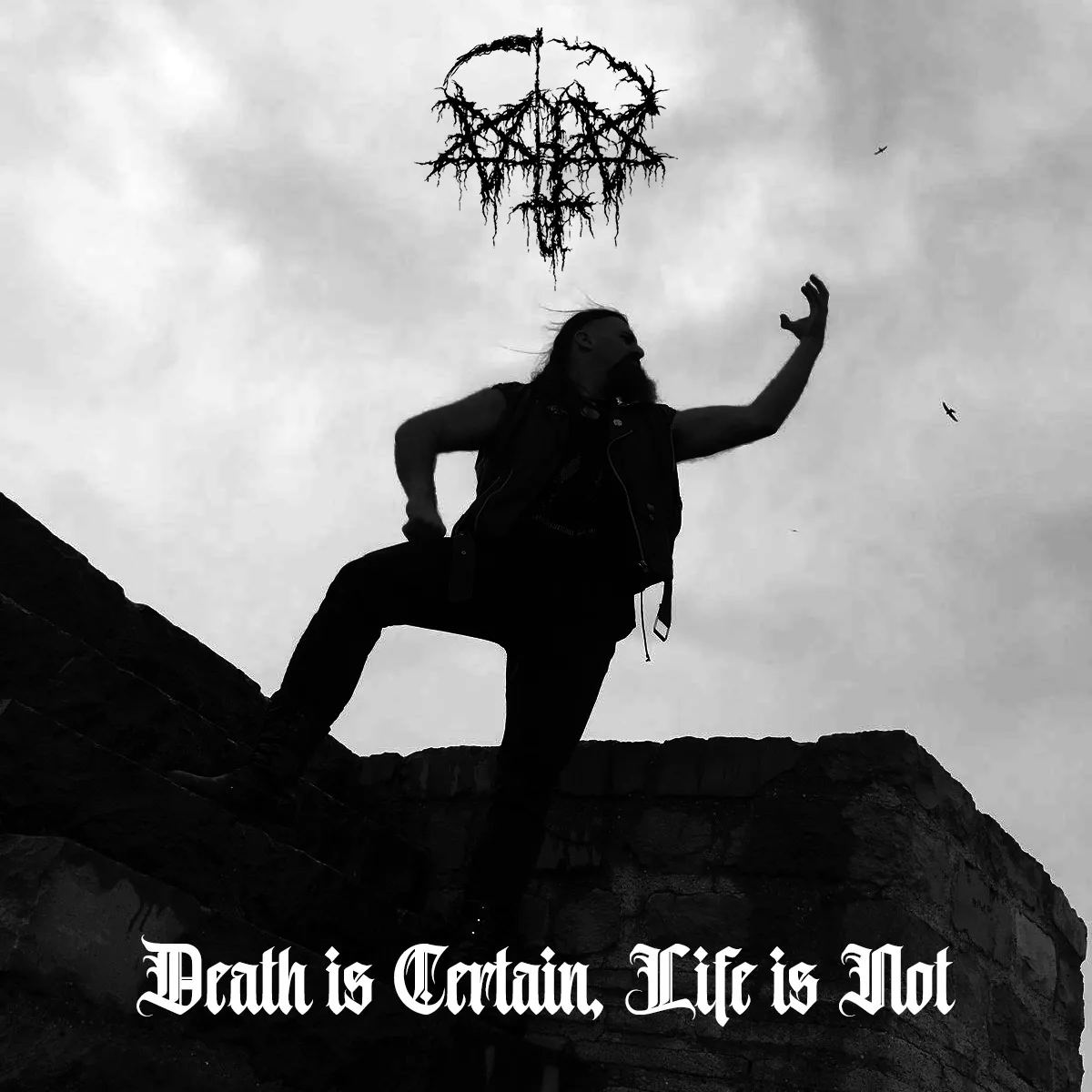 "Death is Certain, Life is Not" New Single From Karanlik