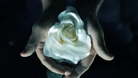 Windchimes - The Last Evil (Official Visual and lyrics)
