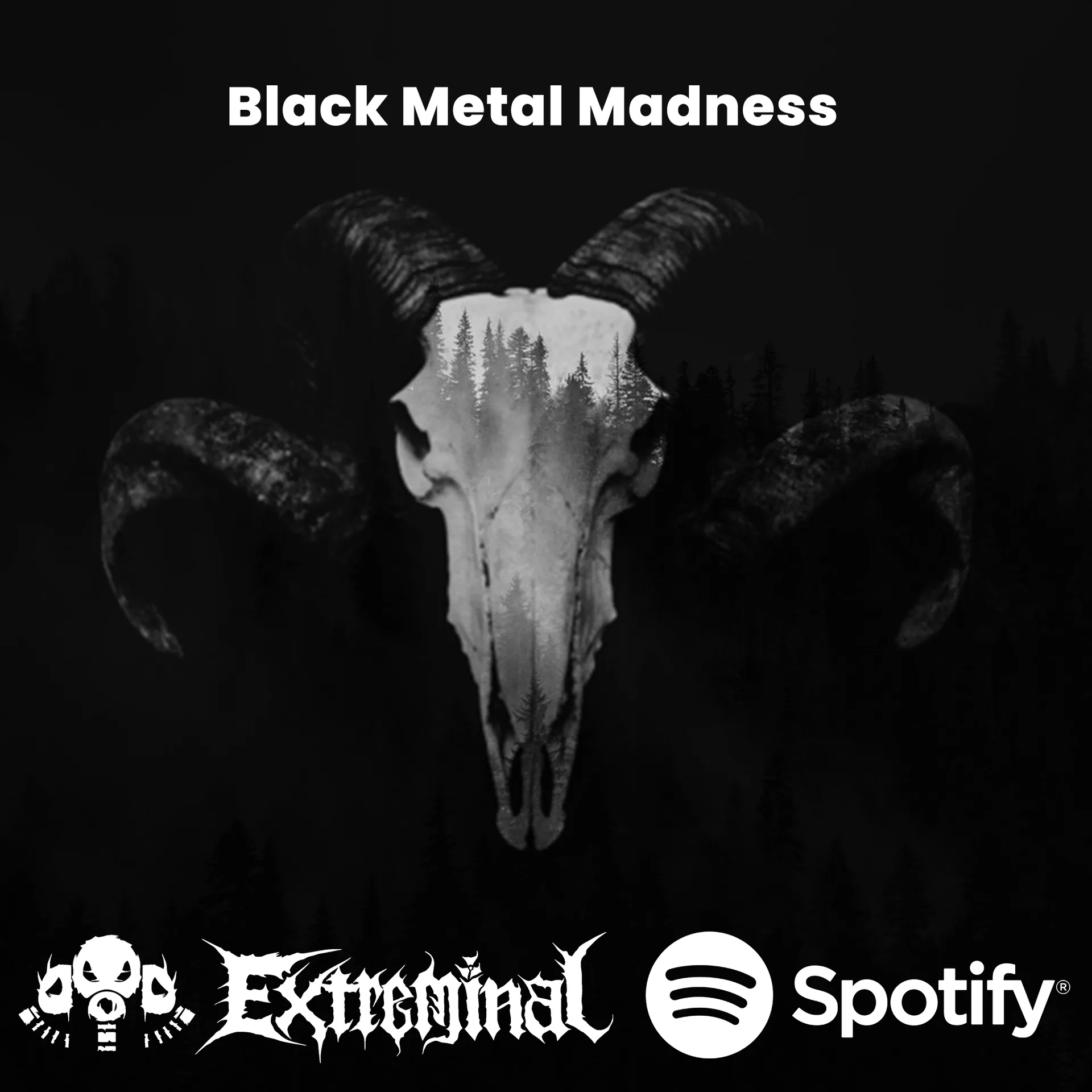 Black Metal Madness
