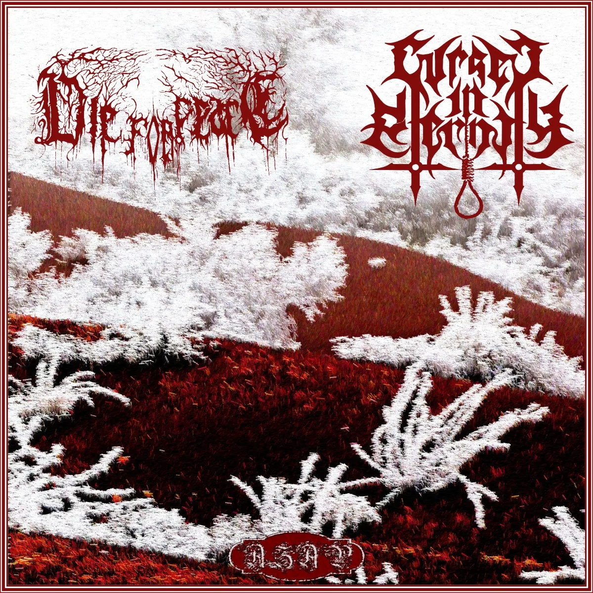 Cursed in Eternity & Die for Peace - Azap