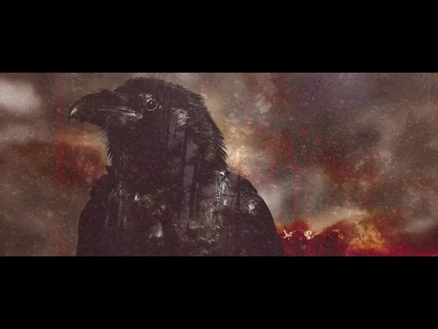 CULTED - Black Bird