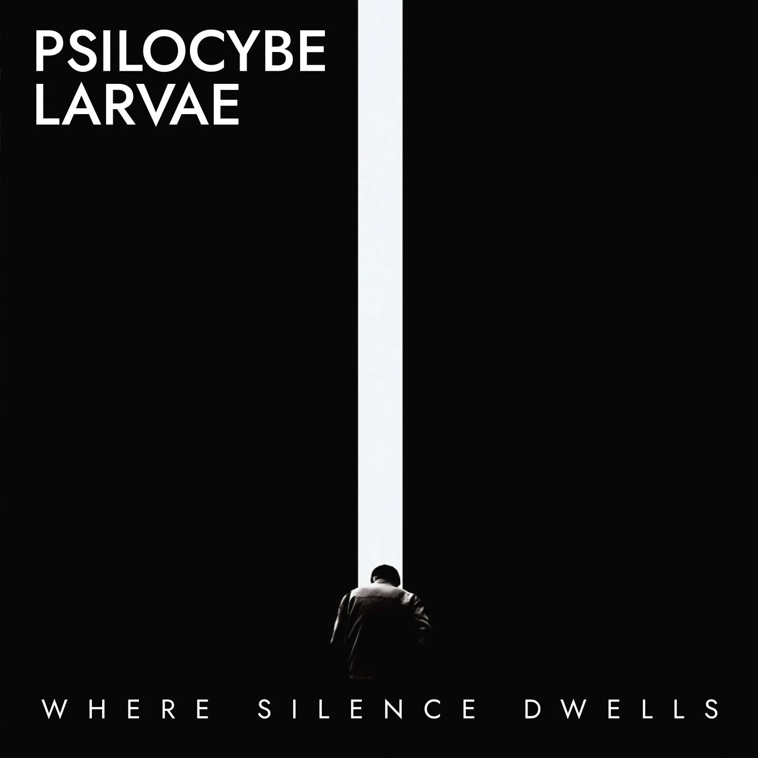 Psilocybe Larvae - Release New Album