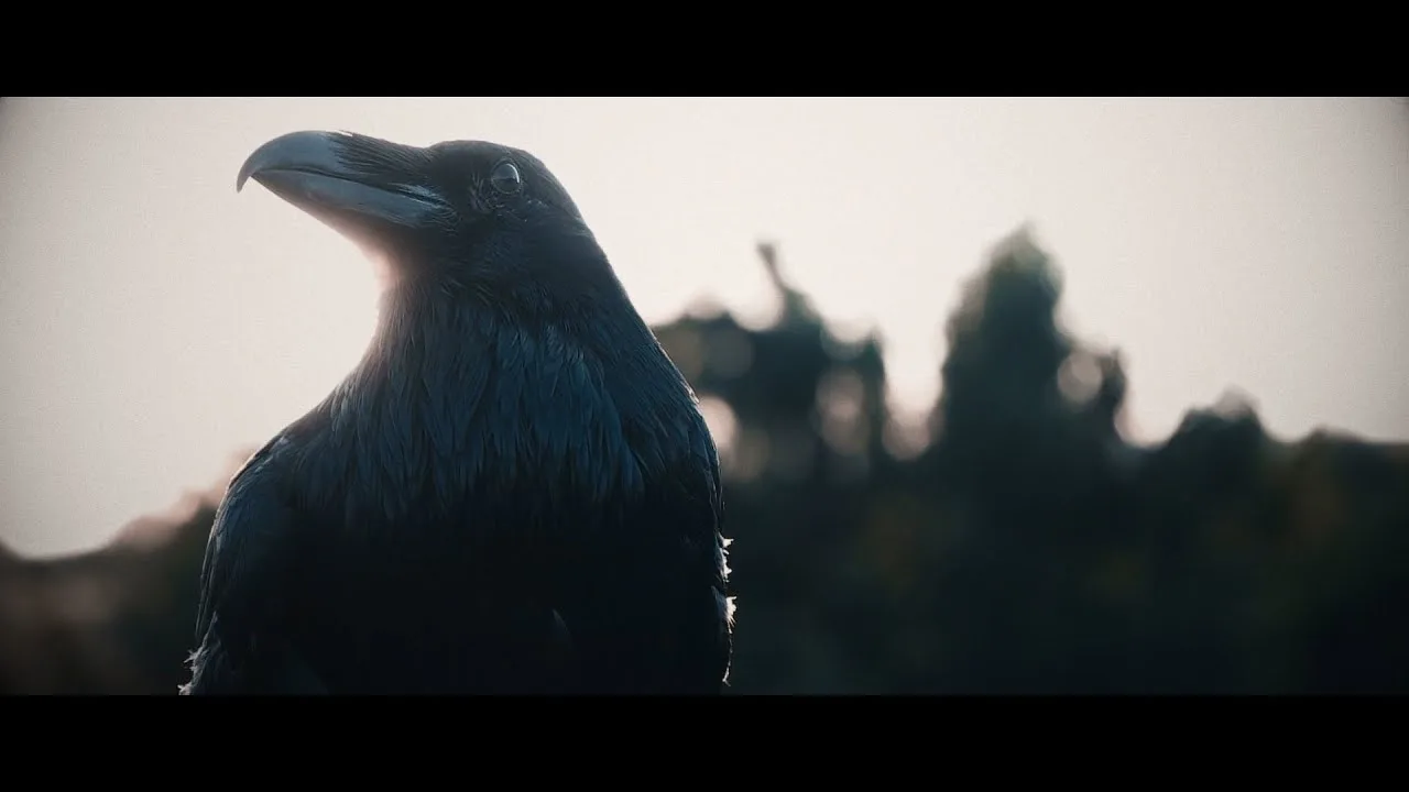 Sidus Atrum - Fading Light