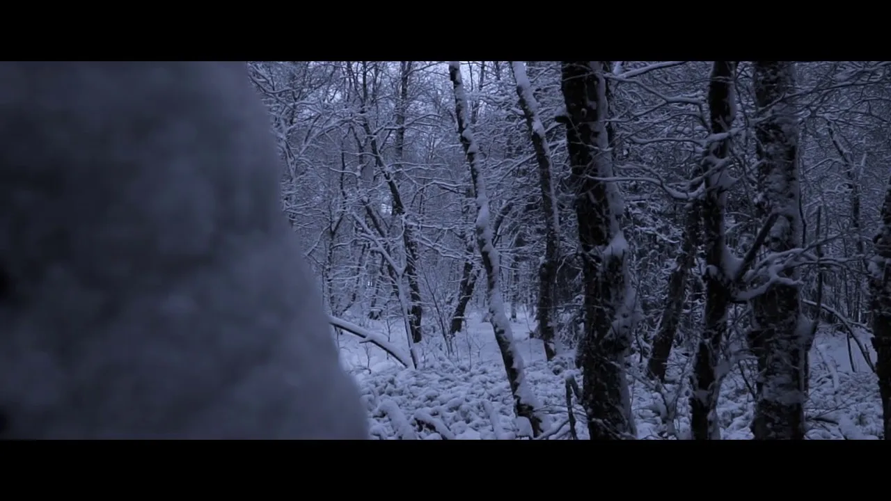 Sun Of The Sleepless -Kristall (Video)