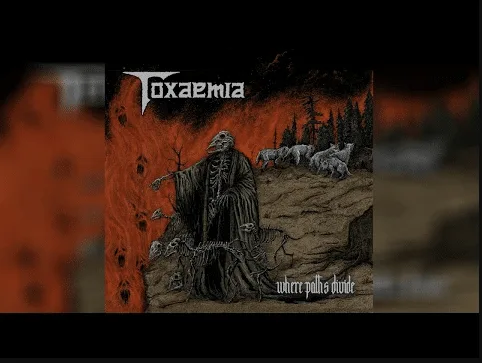 Toxaemia -Hate Within (V)