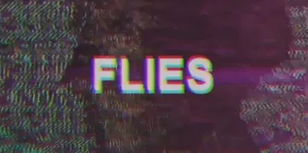 Youth Crash - Flies (Official Lyric Video)