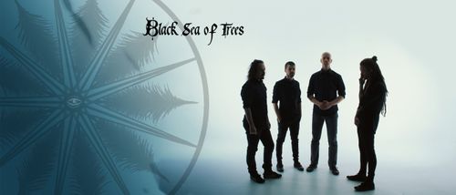 black_sea_of_trees_pic
